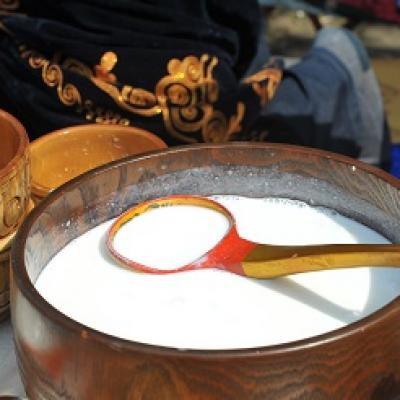 Tác dụng độc đáo của sữa chua Bulgaria