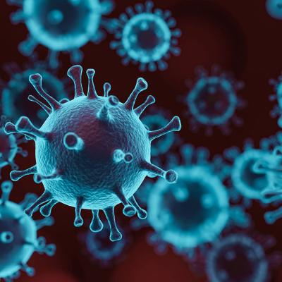 Probiotics và hiệu quả cải thiện triệu chứng COVID-19