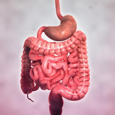 Rối loạn hệ khuẩn ruột và men tiêu hóa ở trẻ tự kỷ